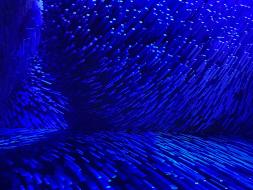 푸른빛과 함께 열리는 새로운 시공간 '블루룸'