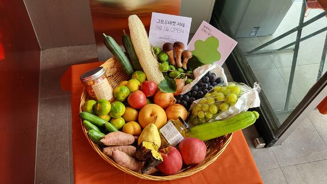 로컬에서 찾는 건강과 지속 가능성