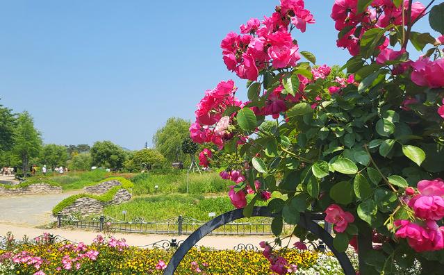 MZ세대를 사로잡는 지역축제