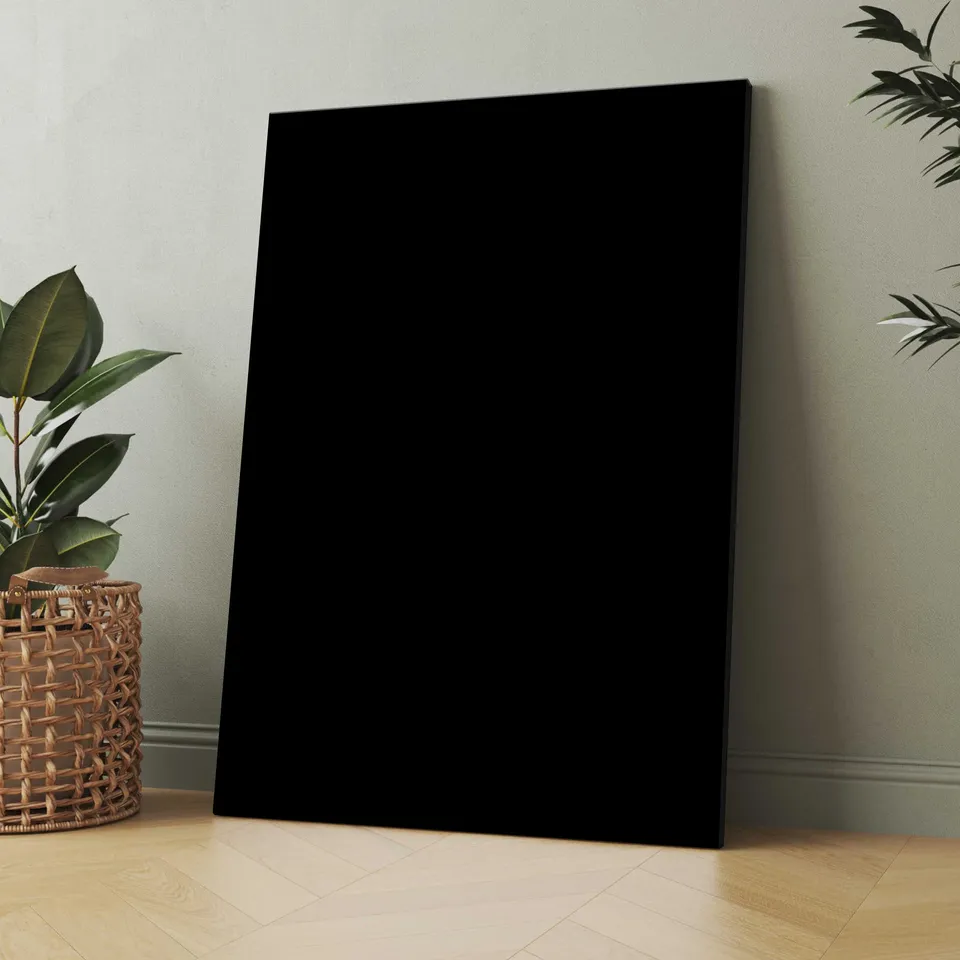 아니쉬 카푸어의 가장 검은색 Vantablack