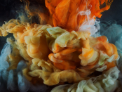 PERFUME: A SENSORY JOURNEY THROUGH CONTEMPORARY SCENT