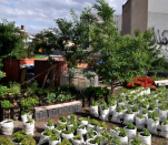 베를린에서의 도시농업