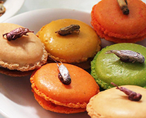 냠냠! 미각에서 시각으로, 입맛의 디자인Ⅱ - 접시 위의 혁신