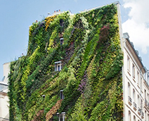 건물에 생기를 불어넣어 주는 수직정원, Green Wall