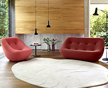 부드러움을 지향하는 디자인