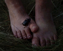 샤를로트 마노의 울림, '엄마, 고마워요.'