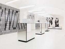 핀란드 올해의 그래픽디자이너_Schick Toikka