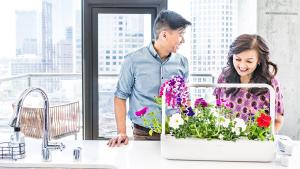 디자인+IoT 기술 접목 '스마트 화분' 인기! 인테리어 소품이 되는 친환경 채소