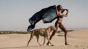 명품의 요소와 가치를 적용시킨 반려견 의류 디자인.