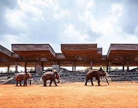 [ Design Awards 2021 ] Elephant World