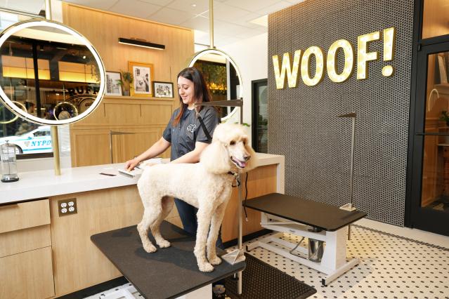 반려동물 원스톱 쇼핑센터 펫코, 뉴욕 유니언스퀘어에 백화점 같은 플래그십 스토어 오픈