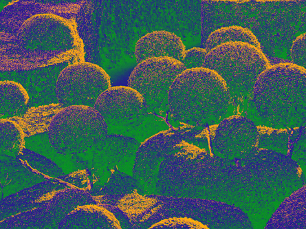 정원의 미래: 자연과 함께 디자인