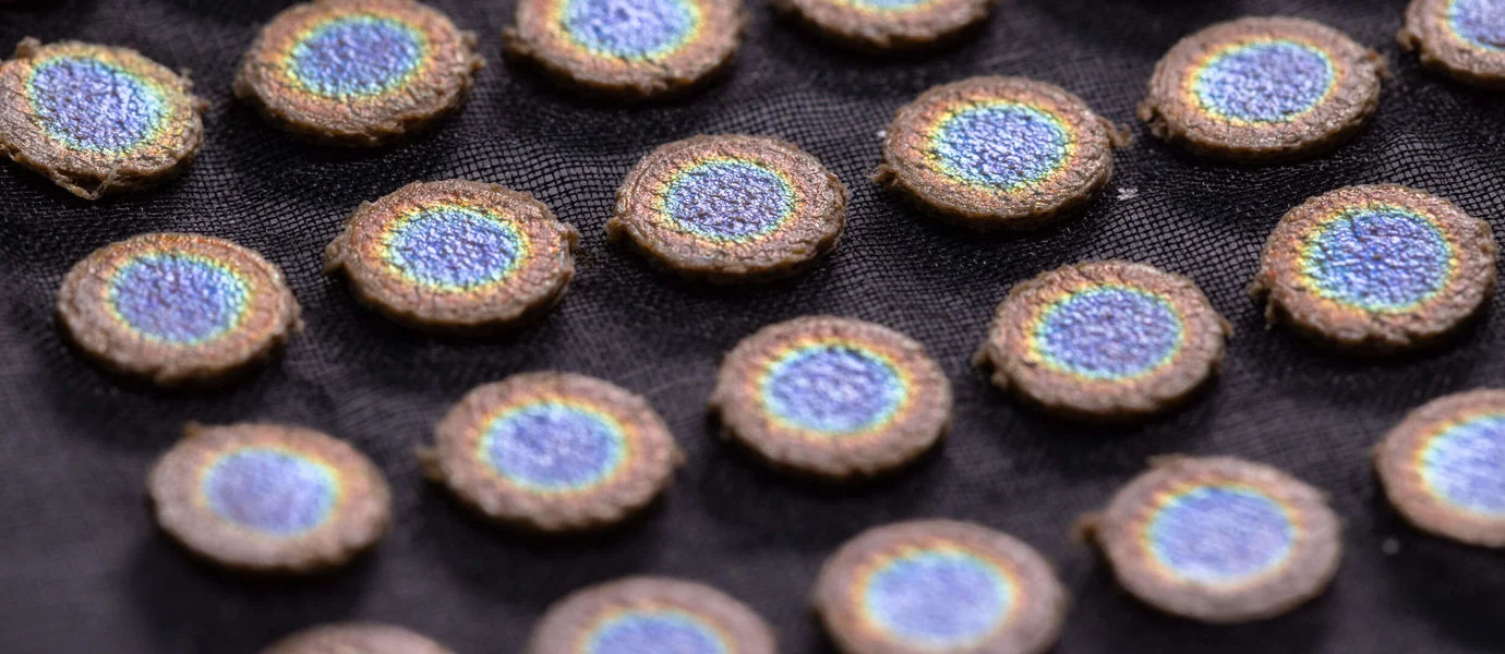 빛나는 나무: 자연에서 찾은 럭셔리