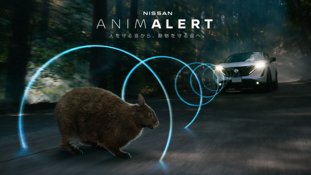 도로 위 배려의 사각지대, 야생동물