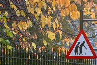 네덜란드, '스마트 신호등' 시험 운영