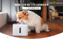 나의 소중한 반려동물을 위한 스마트 음수기, 펫킷