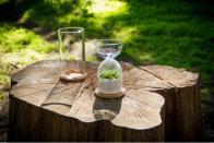 모래시계 모양의 화분, 실내 식물 재배에 편리