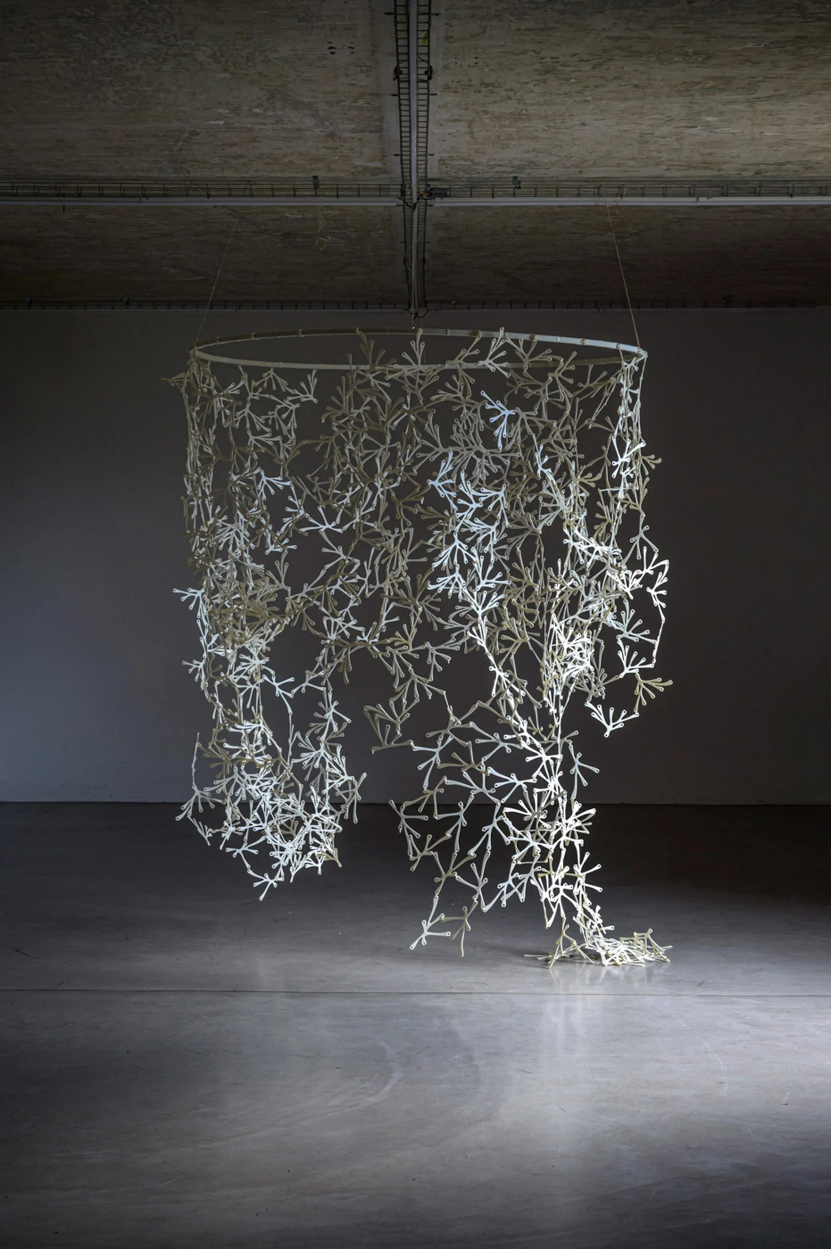 향기입힌 바이오플라스틱으로 만든 룸 디바이더, 브리지