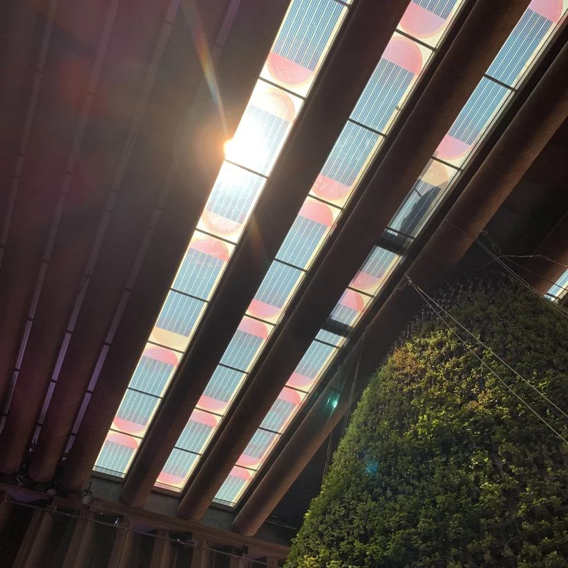 마리얀 판아우벌, 두바이엑스포 네덜란드관에 풍부한 색감의 솔라패널 설치