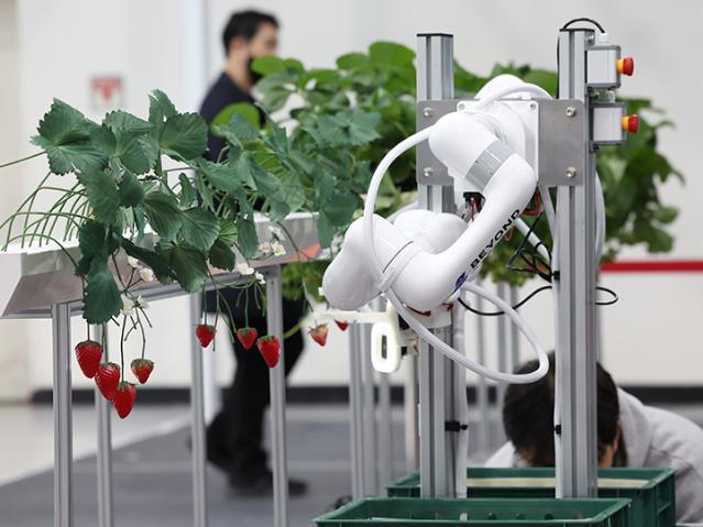 정부, 국가 농업AX플랫폼 추진…AI 기반 농업 혁신 박차