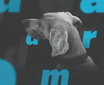 디자인 혁신사례 25 : 혁신적 창업교육이 사회의 어두운 이면을 밝히다 / 언더독스