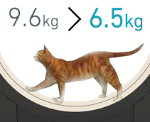 창업지원사례 08 : 반려동물 데이터 비즈니스를 통해 더 나은 세상을 꿈꾸다 / 리틀캣