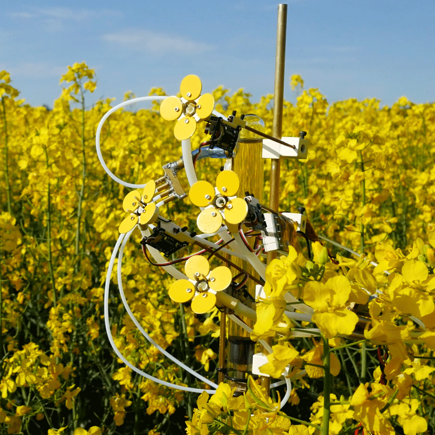 가짜 꽃으로 꿀벌 개채수 감소에 대응