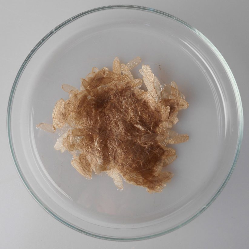 해조류 등 천연물질로 만든 바이오플라스틱 제품사례 ③