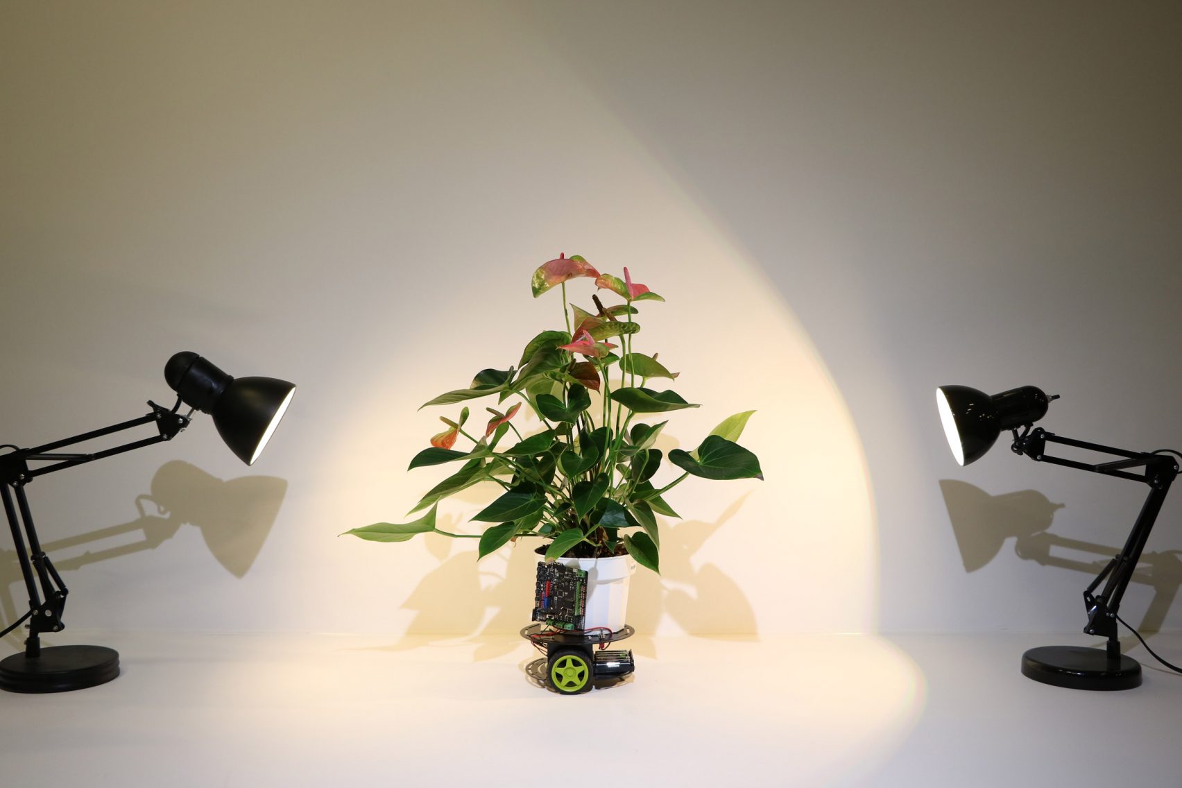 식물과 로봇의 하이브리드, 사이보그 식물 “엘로완”