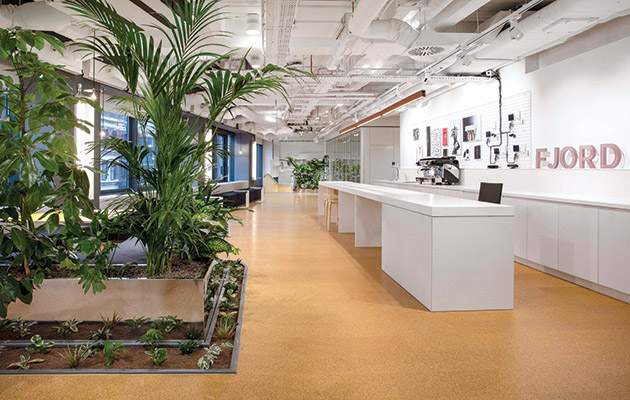 디자인의 전략적 중요성, Fjord I