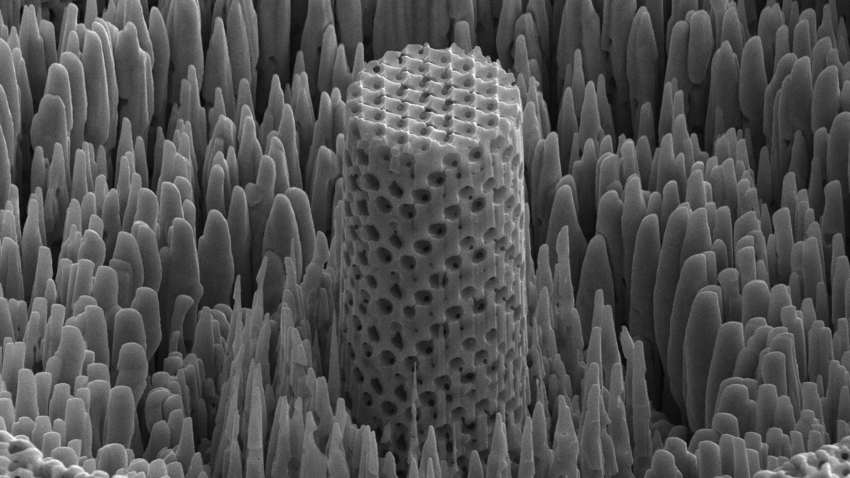 티타늄보다 강하고 가벼운 다공성소재 