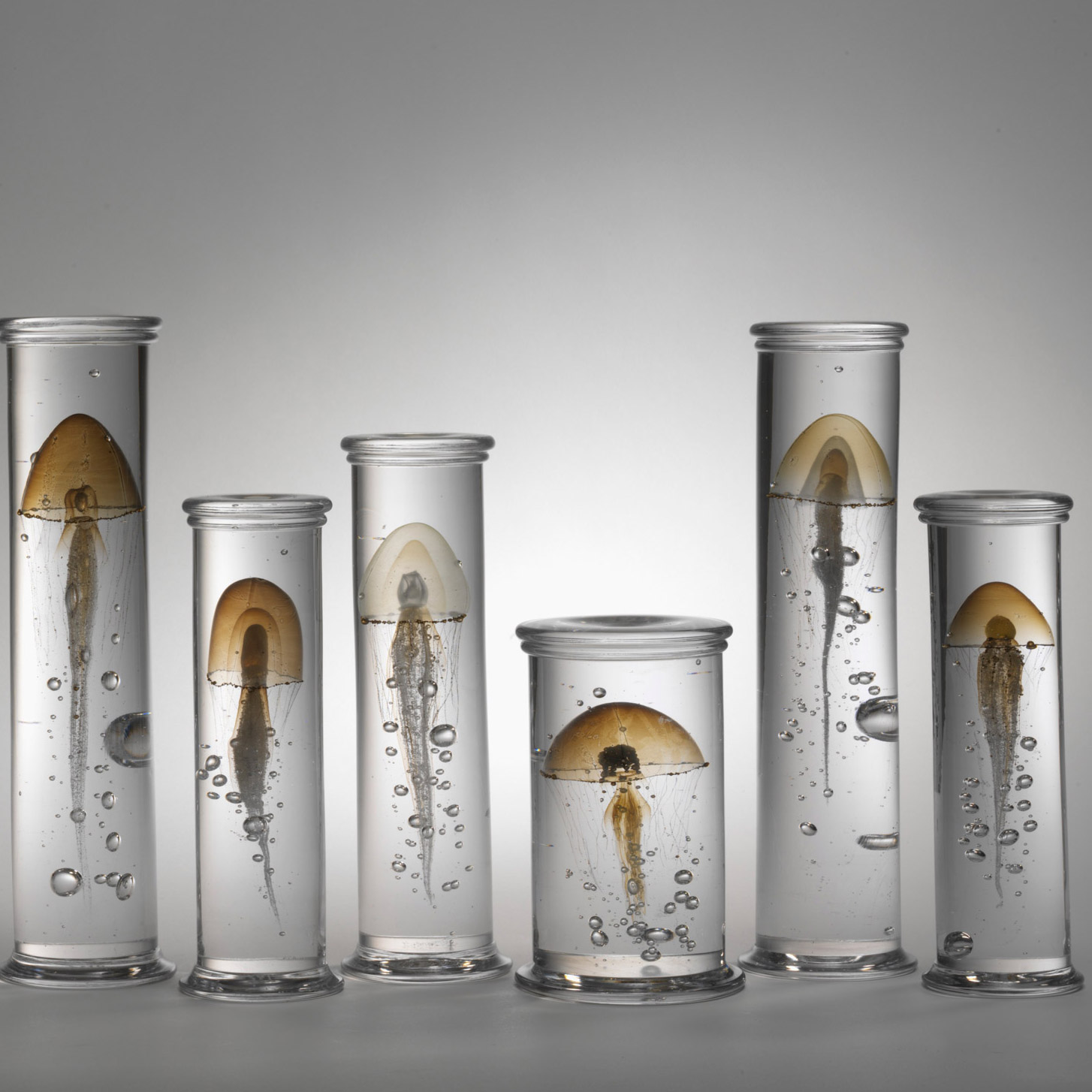 2019년 여름을 함께 할 디자인전시 10선 ③