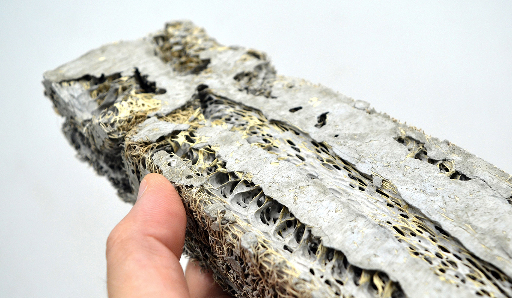 통기성 20배 높은 수세미벽돌 개발