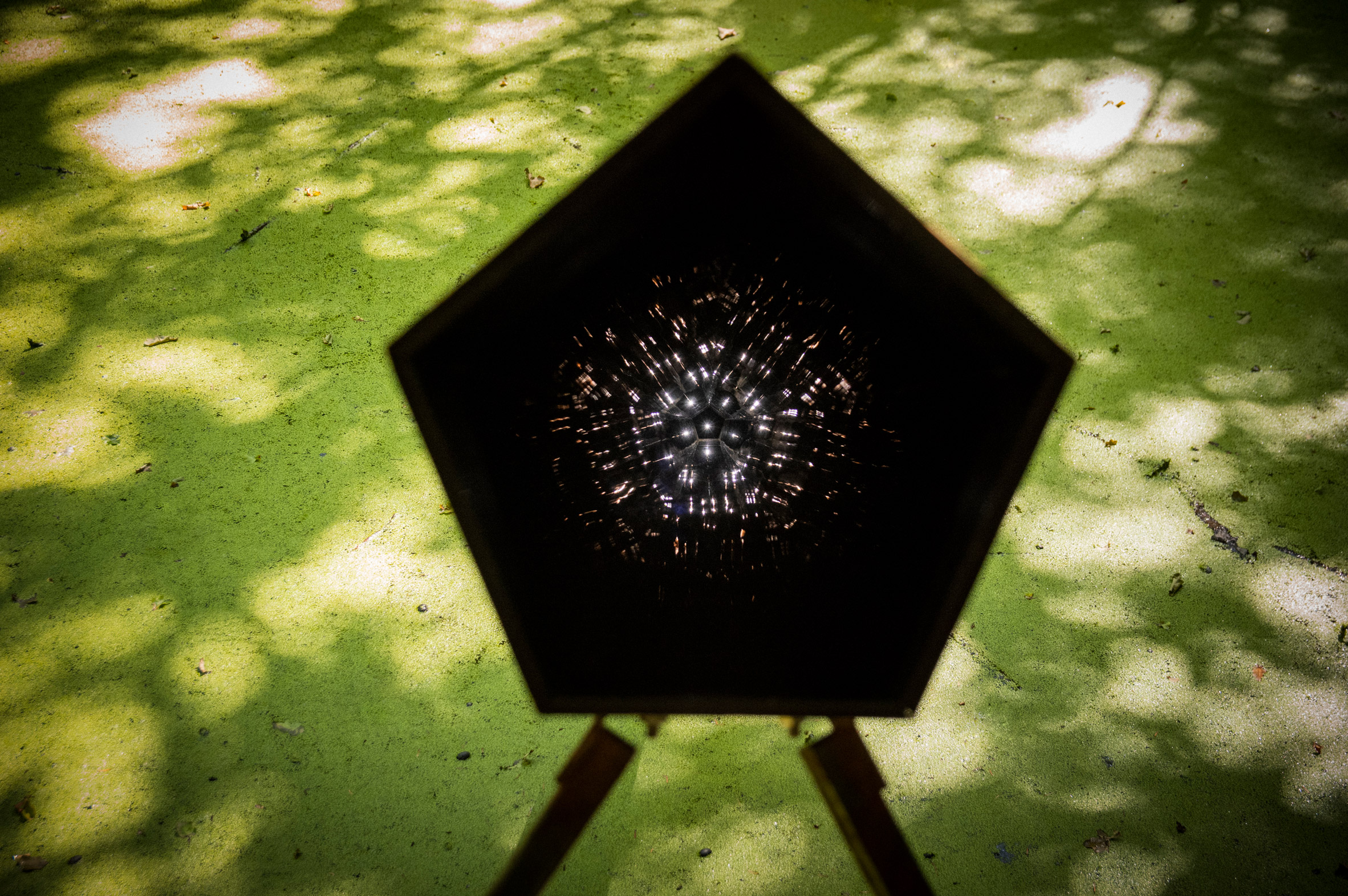 테레사 판동언, 미생물로 전기공급하는 조명제작