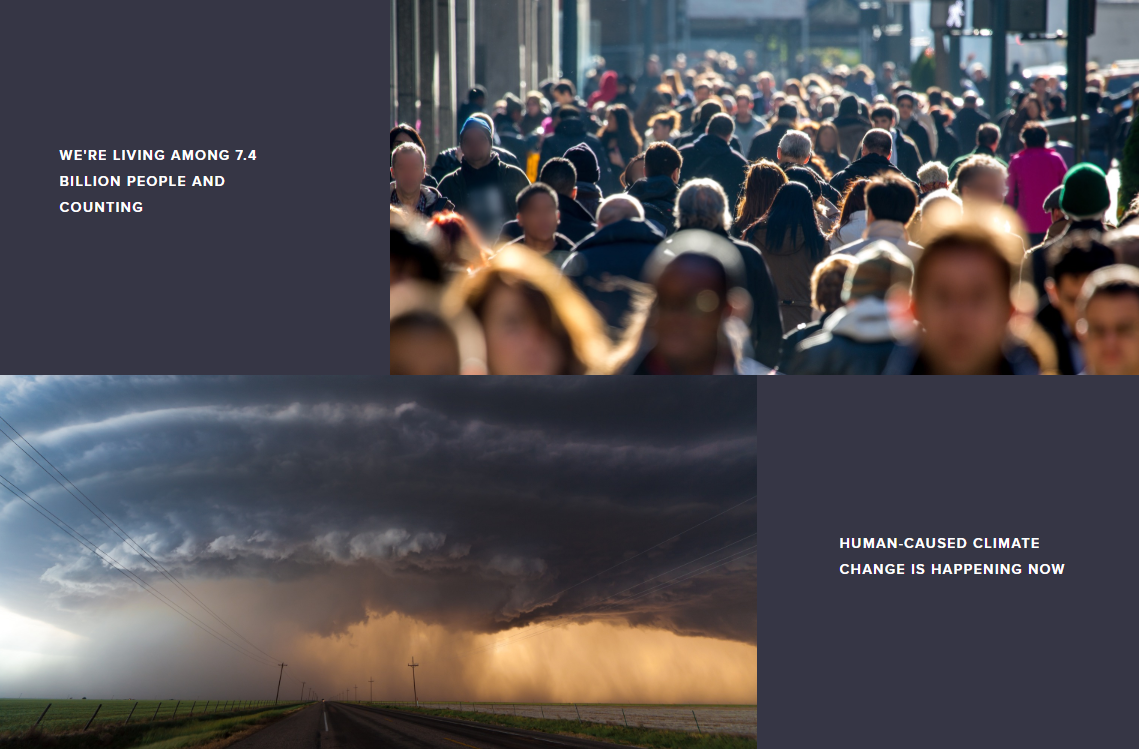 ILFI 인증 | 건축환경과 자연환경에 전반적인 긍정적 영향을 주는 디자인 제품들