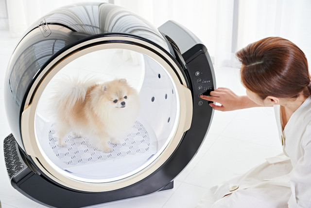 스타트업의 도전… 제이온글로벌, 혁신적인 디자인 ‘펫밀리아 펫 드라이룸’ 출시