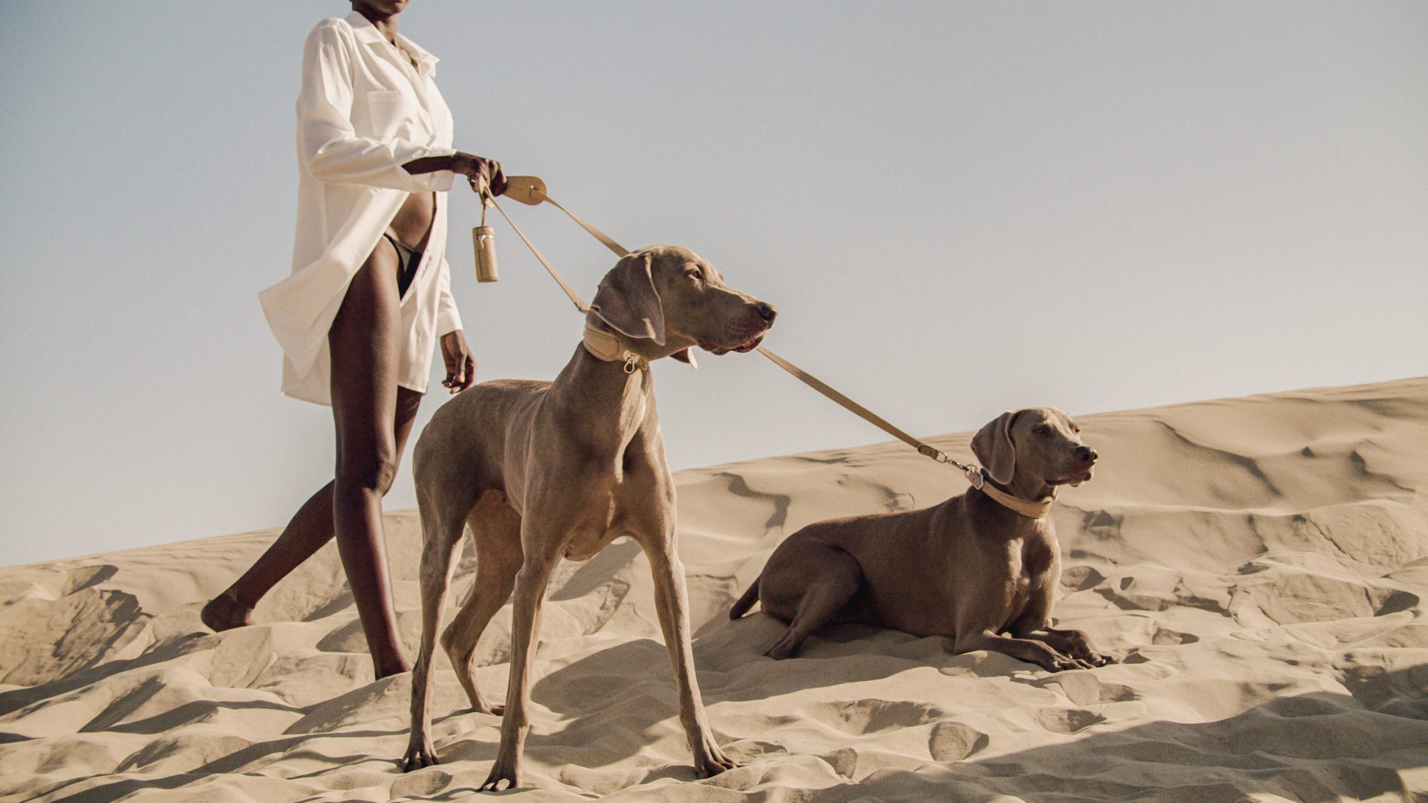 반려동물을 위한 명품패션하우스, 파제리