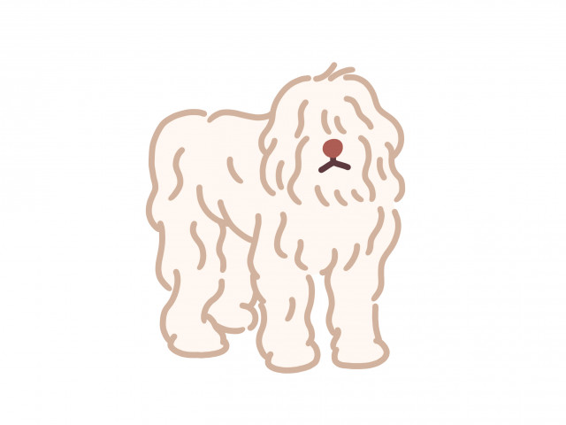 수이앤, 한국의 전통 캐릭터 ‘삽사리’로 다양한 디자인 문구 출시 예정