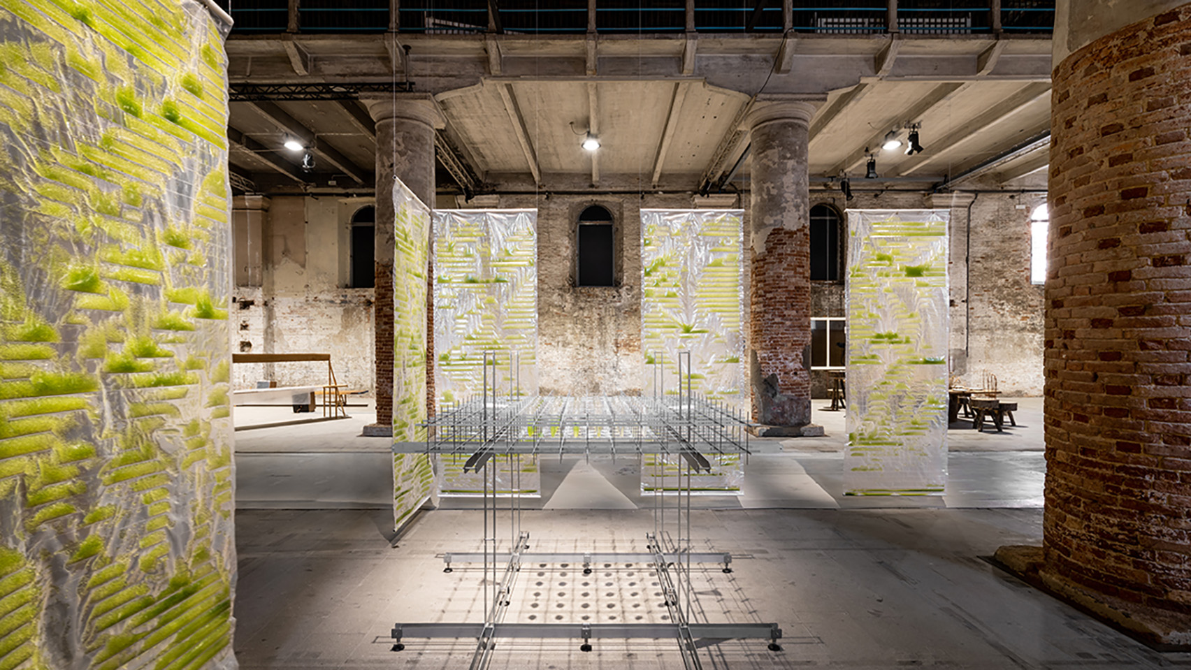 비트.바이오.봇 전시, 공기정화와 단백질공급원 겸한 해조 활용법 소개①