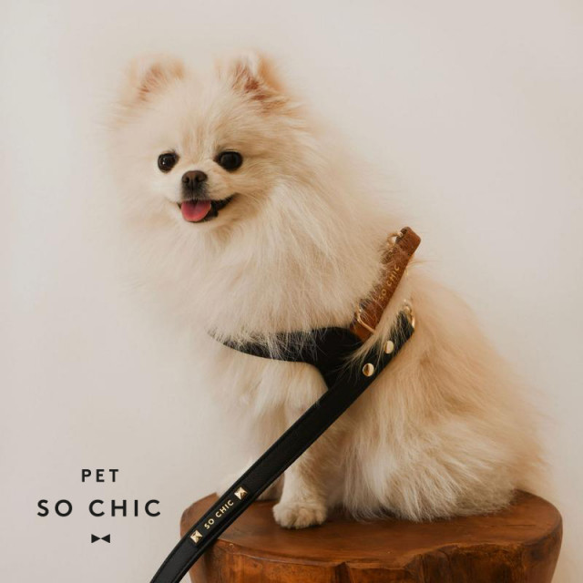 꼬띠샵 “2021 케이펫페어 코엑스에서 만나요”