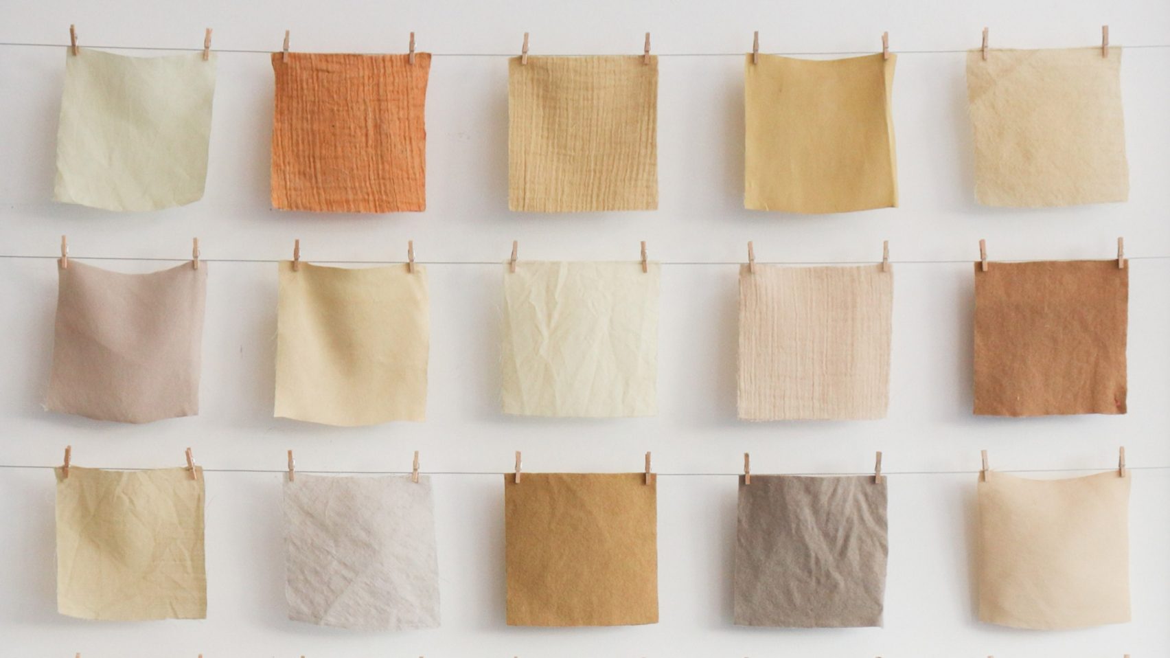 100% 해조 텍스타일 염료 만드는 네덜란드 브랜드 ‘Zeefier’