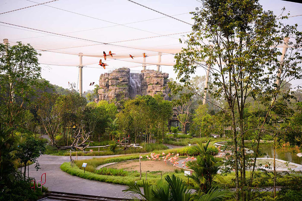 버드 파라다이스BIRD PARADISE