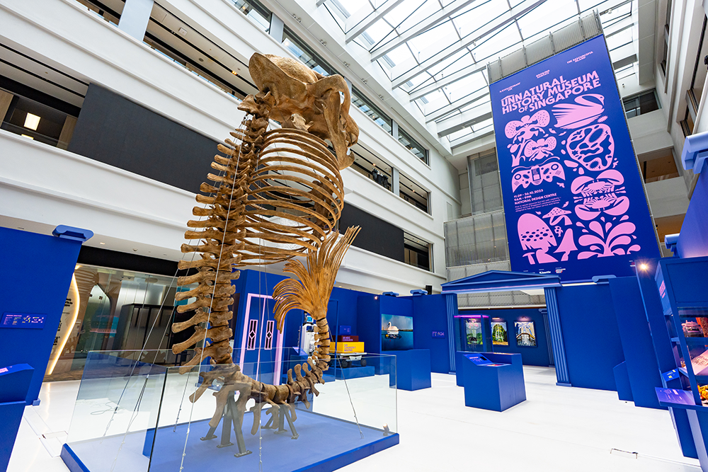 Unnatural%20History%20Museum%20of%20Singapore%20at%20National%20Design%20Centre.%20Photo%20by%20AlvieAlive%20(3).png