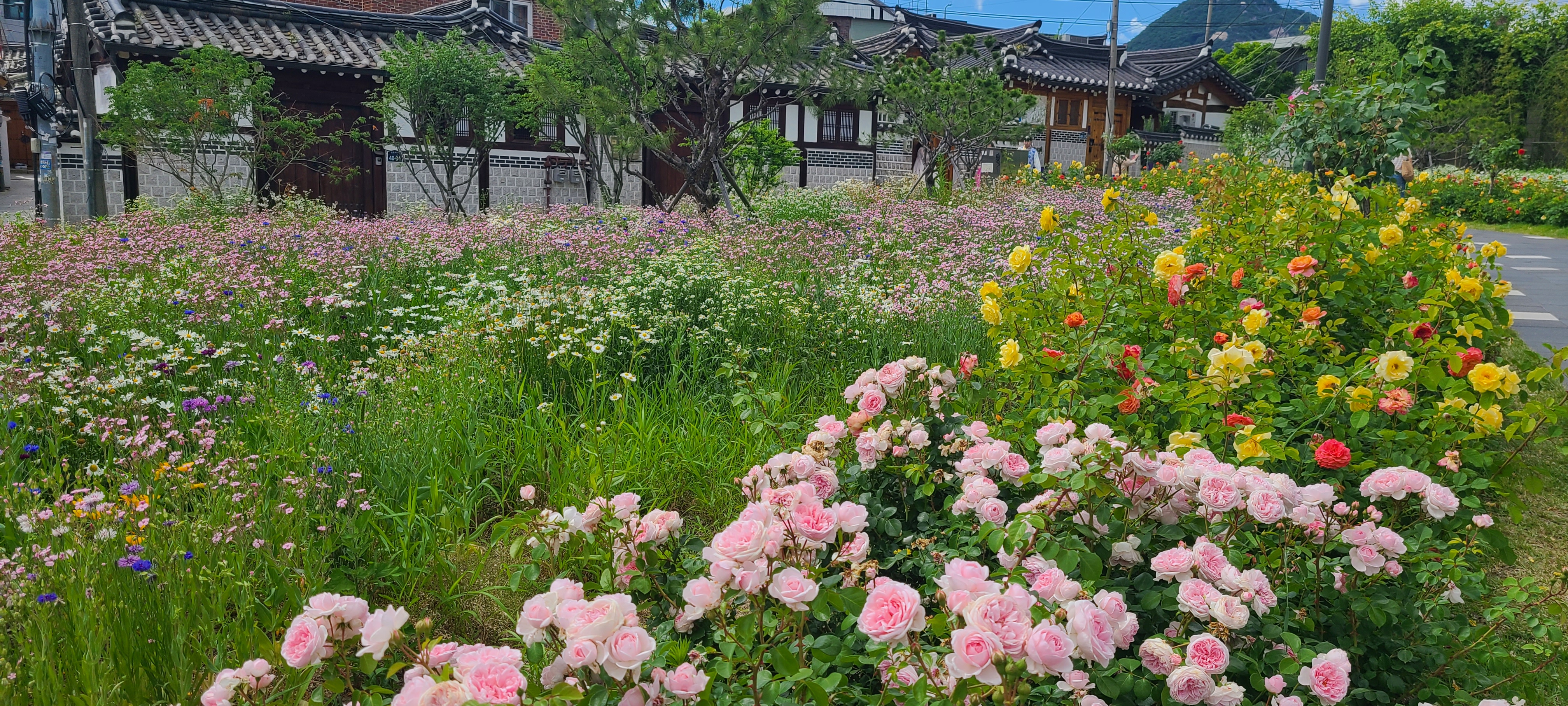 KakaoTalk_20251230_051756109_11.jpg